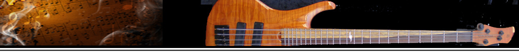 The Pure Bassist